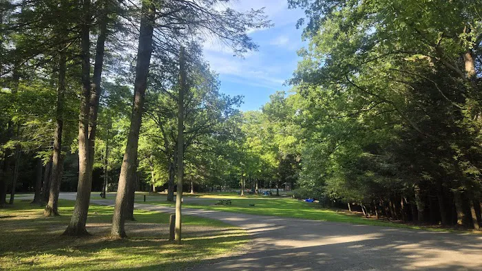 Babcock State Park Campground Picture 7