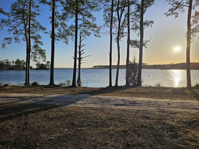Dixon Landing RV Resort Picture 6