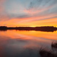 Dixon Landing RV Resort ico