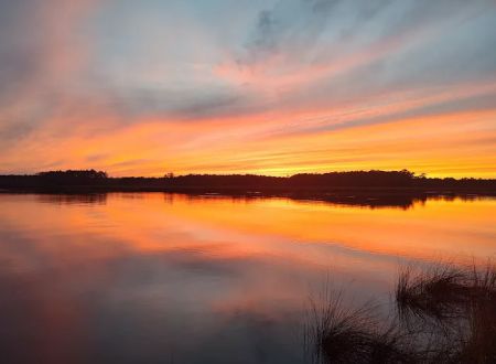 Dixon Landing RV Resort