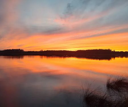 Dixon Landing RV Resort