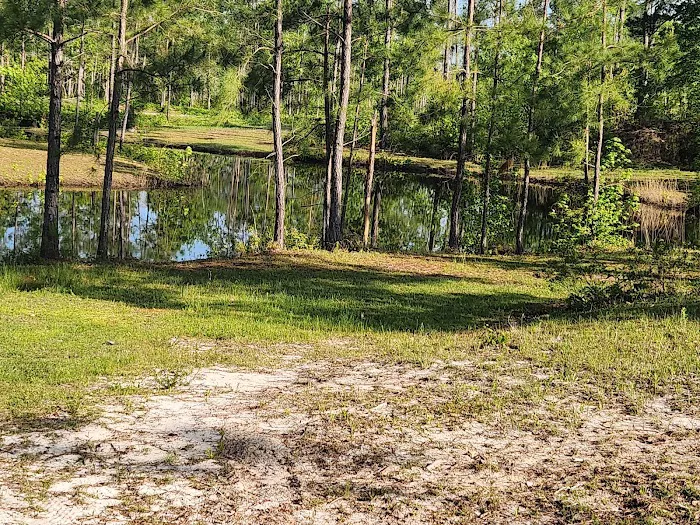 Dixon Landing RV Resort Picture 10