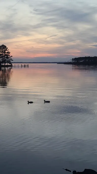 Dixon Landing RV Resort Picture 7