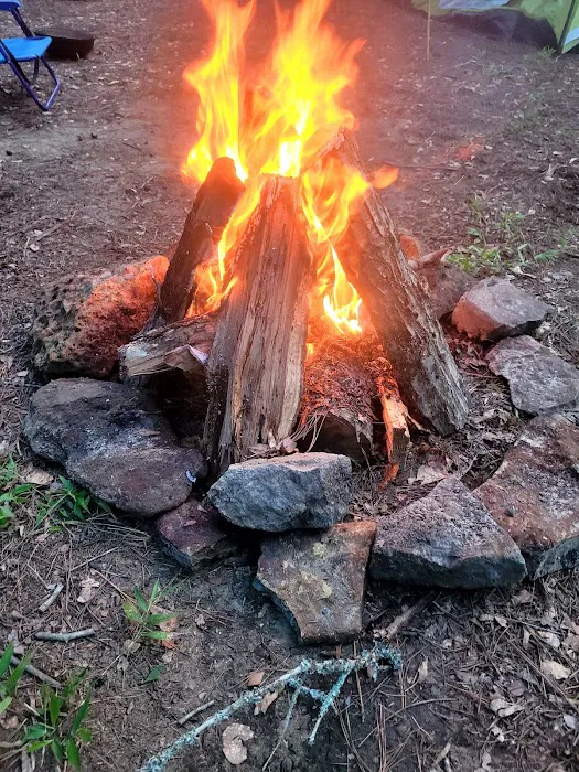Trent River Campground Picture 6