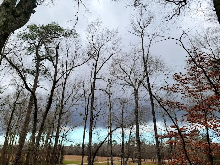 Trent River Campground Picture 2