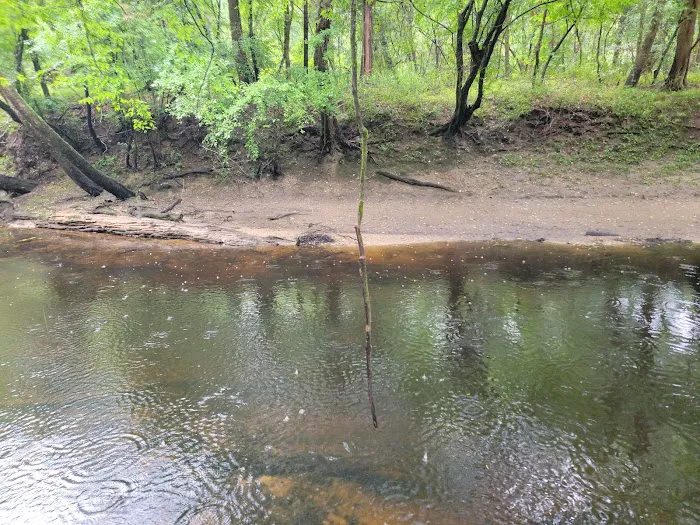 Trent River Campground Picture 4