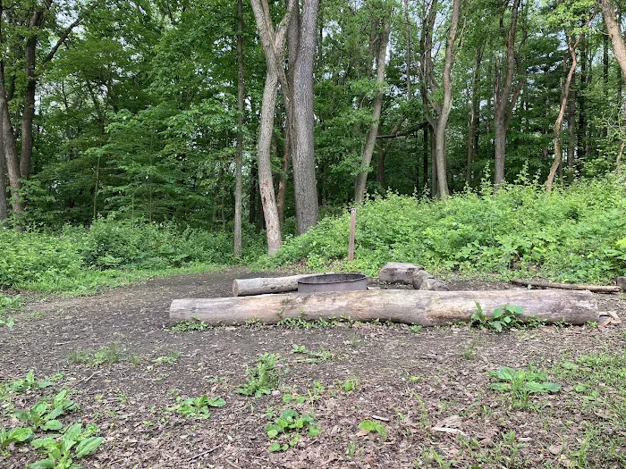 Mohican State Park - Backpack Campsite #6 Picture 1