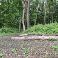 Mohican State Park - Backpack Campsite #6 ico