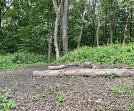 Mohican State Park - Backpack Campsite #6