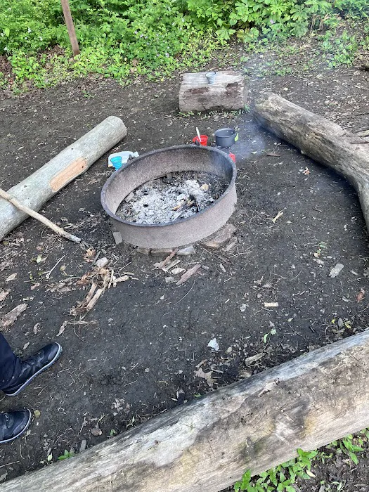 Mohican State Park - Backpack Campsite #6 Picture 2