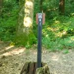 Mohican State Park - Back Pack Campsite #5