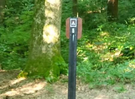 Mohican State Park - Back Pack Campsite #5