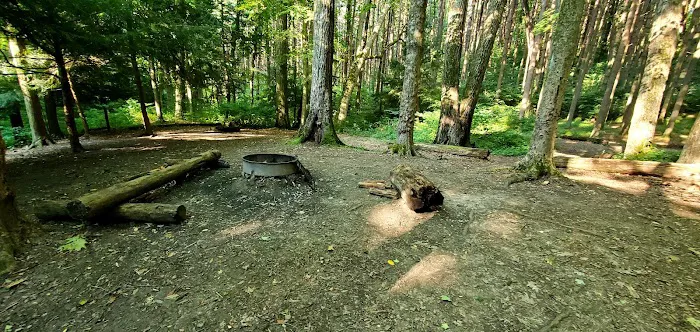 Mohican State Park - Back Pack Campsite #5 Picture 2
