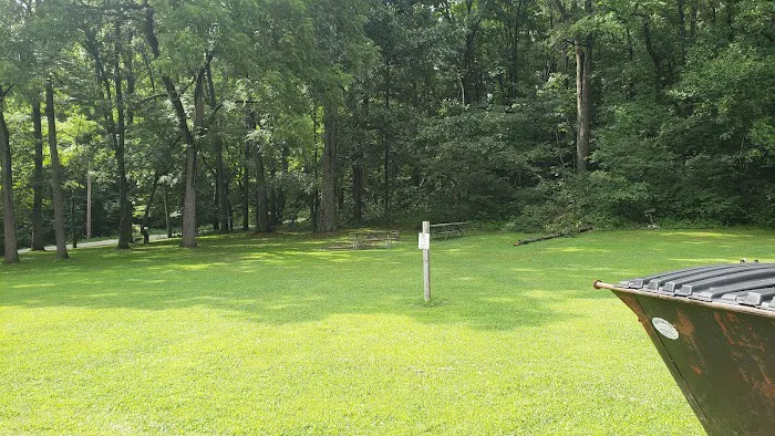 Mohican Group Camp Picture 4