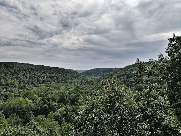 Mohican State Park - Campground B Picture 4