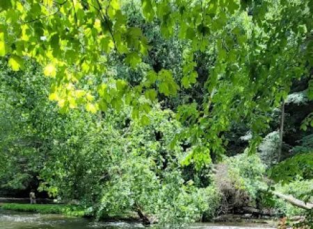 Mohican State Park - Campground B