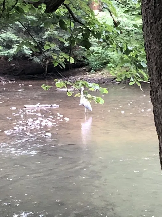 Mohican State Park - Campground B Picture 10