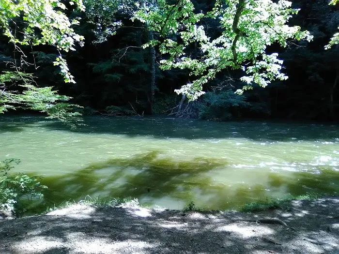 Mohican State Park - Campground B Picture 5