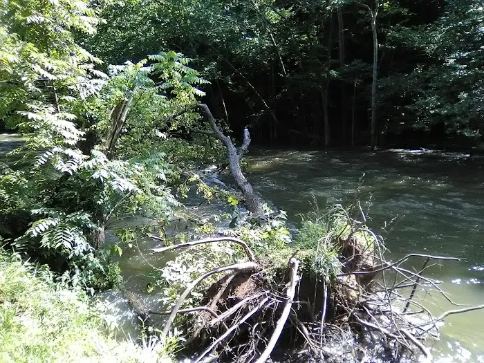 Mohican State Park - Campground B Picture 2