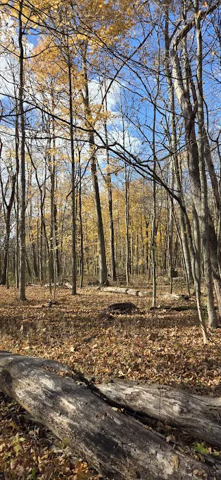 Mohican State Park - Campground B Picture 8