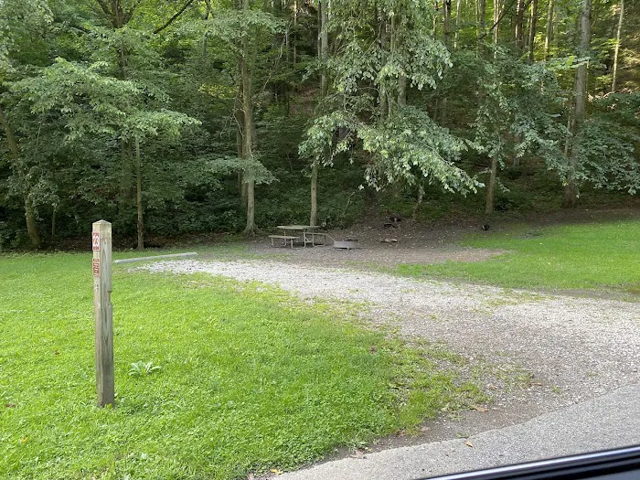 Mohican State Park - Campground B Picture 3