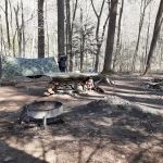 Mohican-Memorial State Forest - Backpack Campsite #3