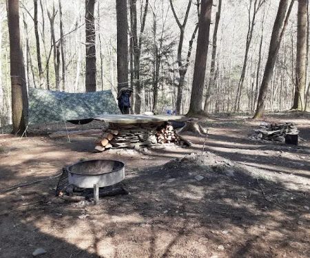 Mohican-Memorial State Forest - Backpack Campsite #3
