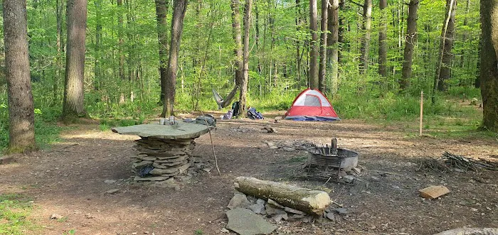 Mohican-Memorial State Forest - Backpack Campsite #3 Picture 5