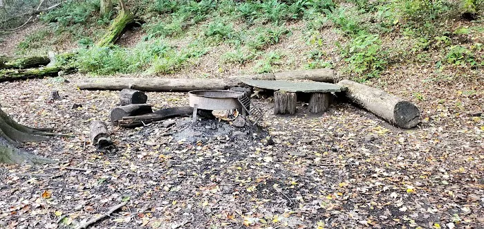 Mohican State Park - Backpack Campsite #2 Picture 2
