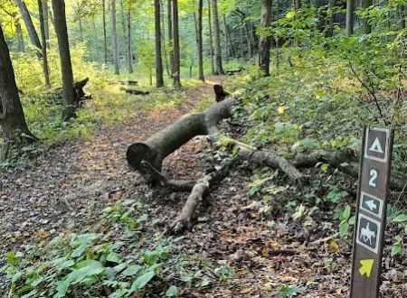 Mohican State Park - Backpack Campsite #2