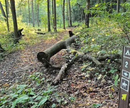 Mohican State Park - Backpack Campsite #2