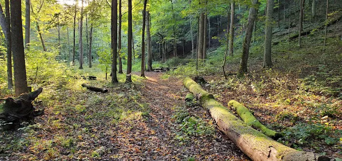 Mohican State Park - Backpack Campsite #2 Picture 5