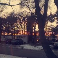 Maplewood Village ico