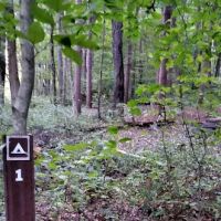Mohican State Park - Backpack Campsite #1 ico