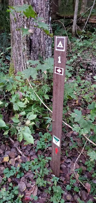 Mohican State Park - Backpack Campsite #1 Picture 4
