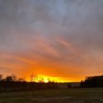 Tipi Farm Stays at Cherokee Valley Bison Ranch
