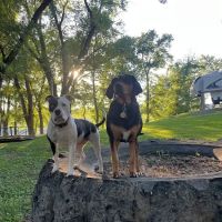 Olde Oak RV Park & Campground ico