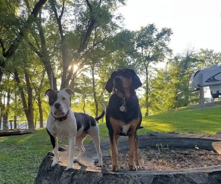 Olde Oak RV Park & Campground