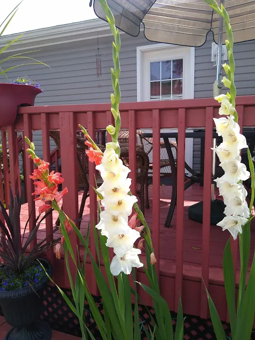 Coachlight Estates Picture 4