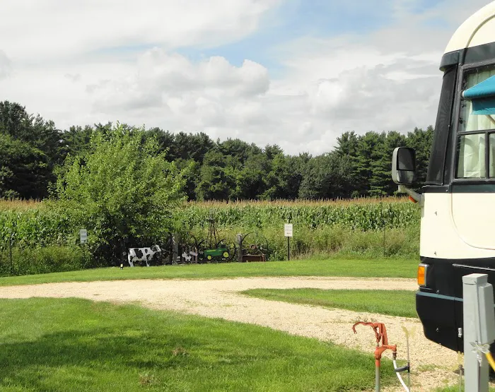 Lil' Bit of Country RV Park Picture 5