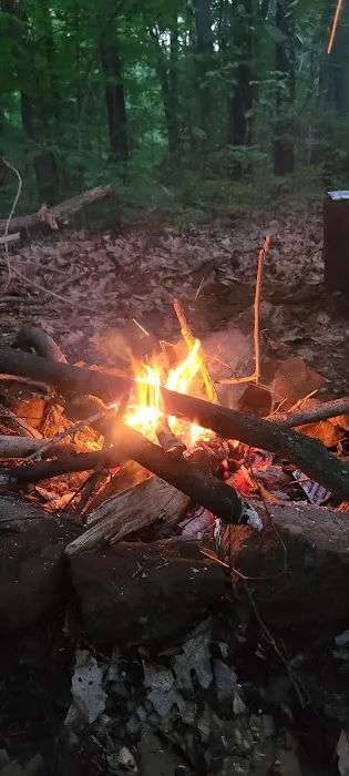 Zeleski State Forest Camp 3 - Secluded Camp Site Picture 2