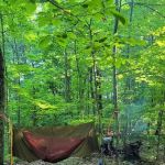 Zeleski State Forest Camp 3 - Secluded Camp Site