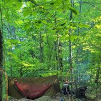 Zeleski State Forest Camp 3 - Secluded Camp Site ico