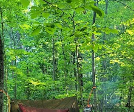 Zeleski State Forest Camp 3 - Secluded Camp Site