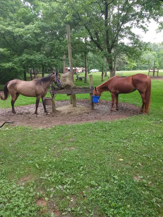 Zaleski State Forest Horse Camp Picture 7
