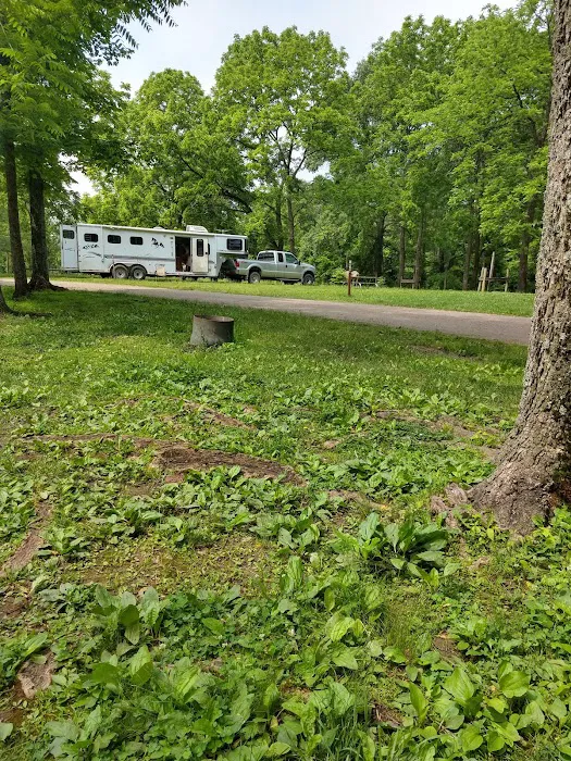Zaleski State Forest Horse Camp Picture 8