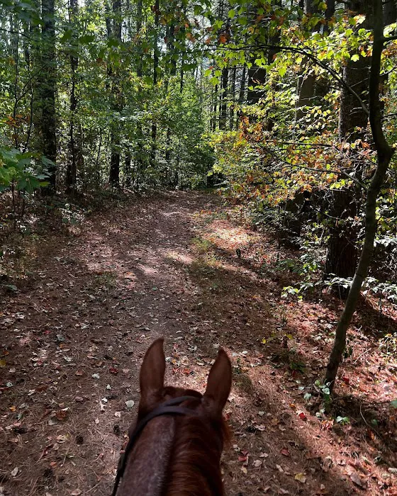 Zaleski State Forest Horse Camp Picture 2