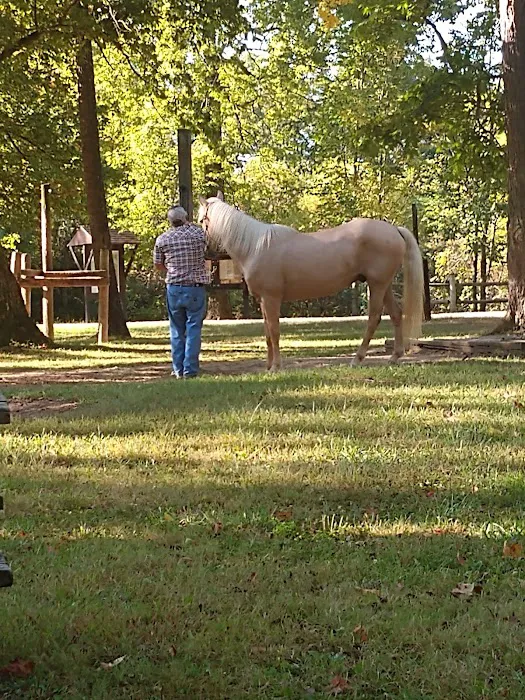 Zaleski State Forest Horse Camp Picture 4