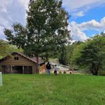 Lake Hope State Park Campground