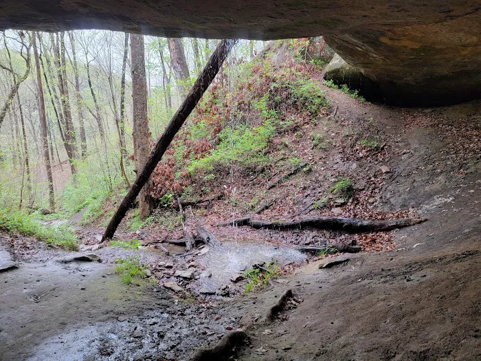 Lake Hope State Park Campground Picture 6